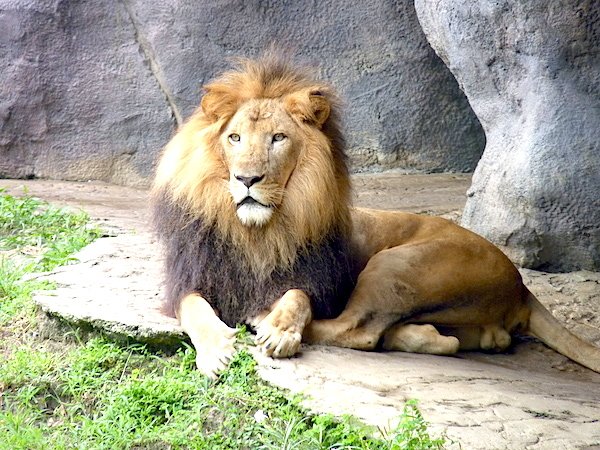 Busch Gardens