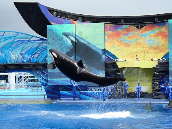 Sea World