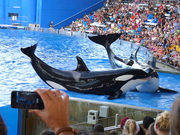 Sea World