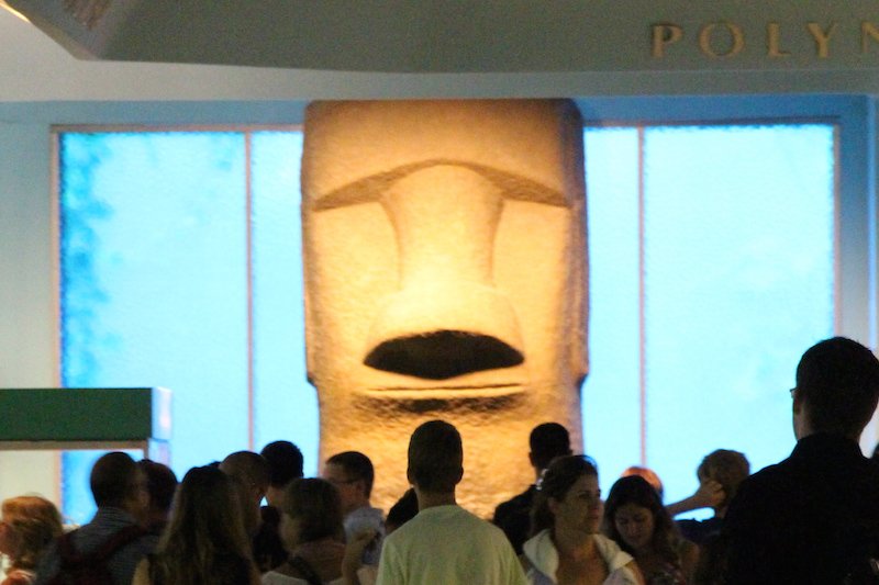 AMNH