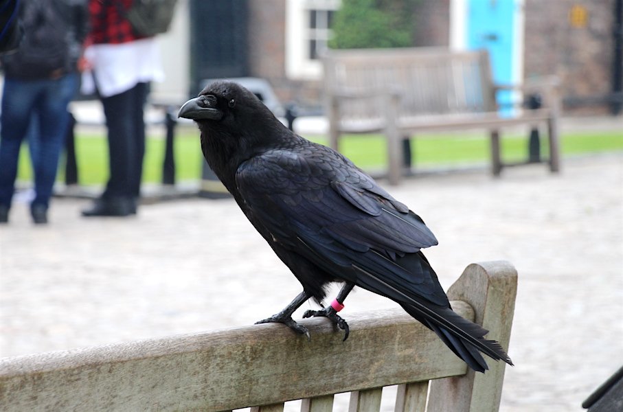 Tower of London