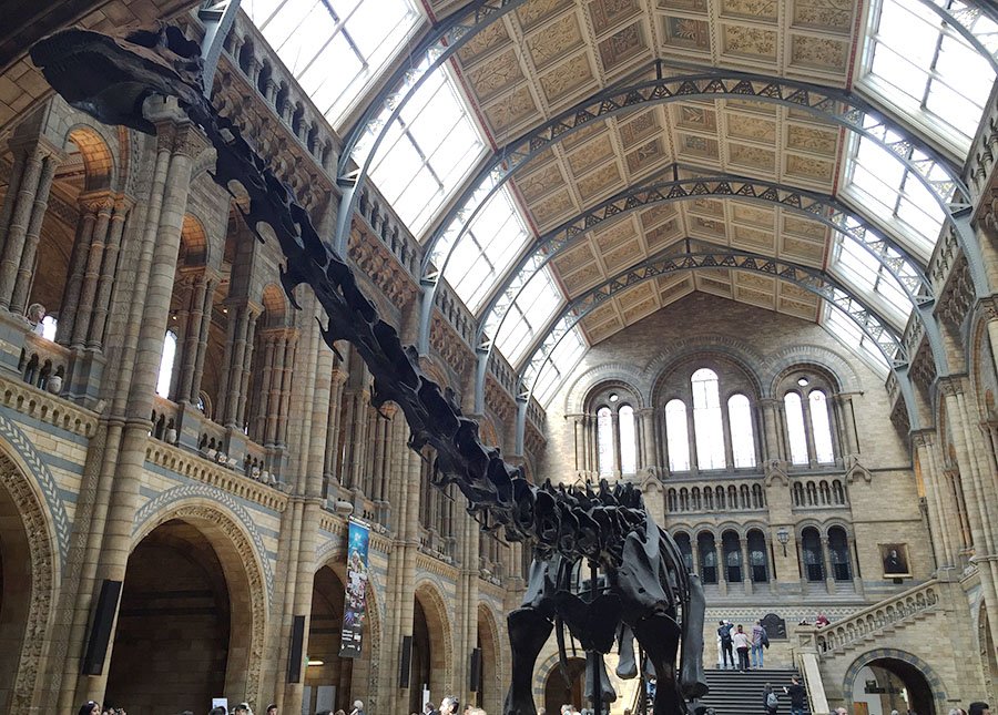 Natural History Museum