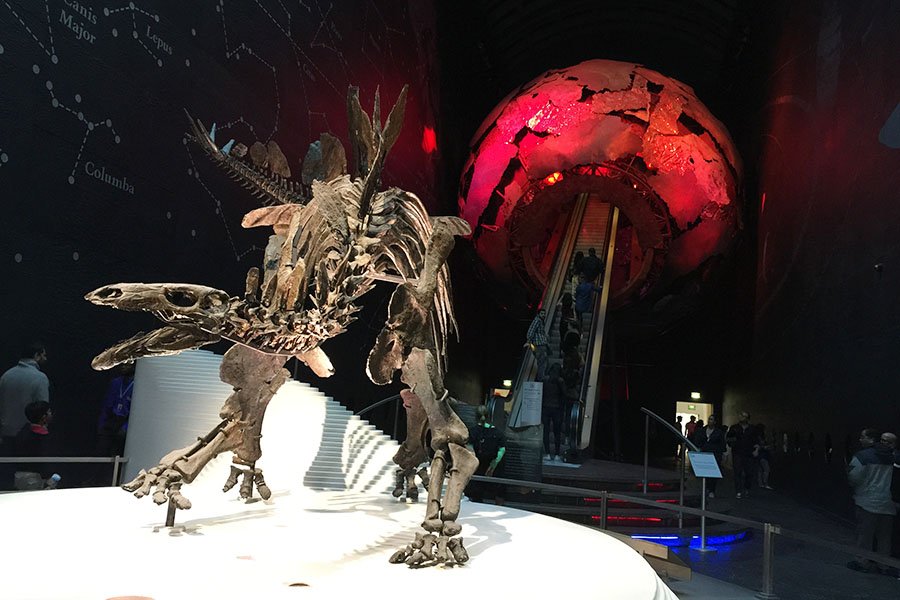 Natural History Museum