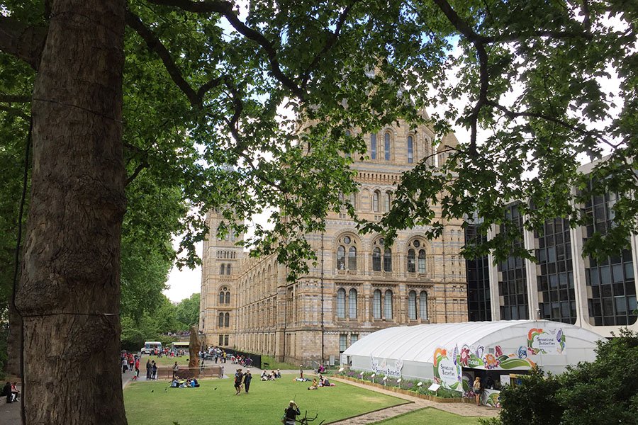 Natural History Museum