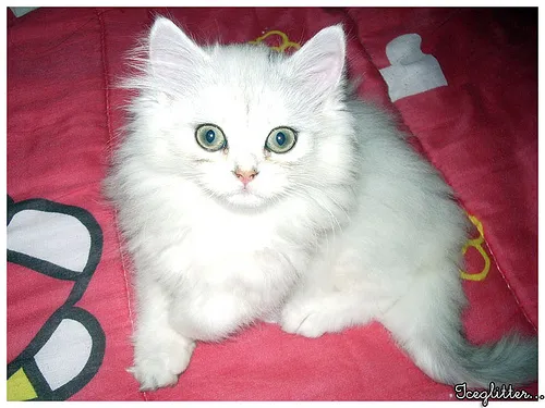 Marie