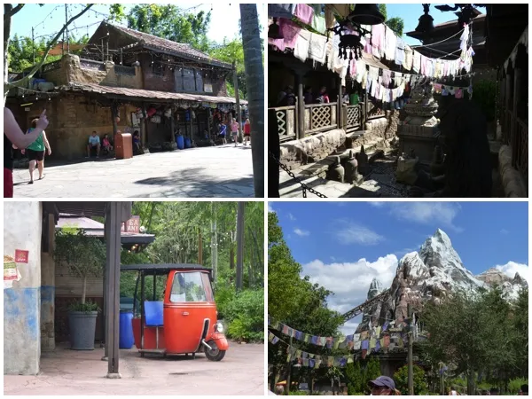 Animal Kingdom