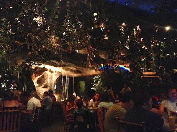 Animal Kingdom