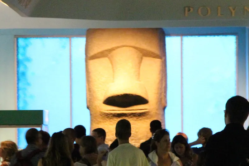 AMNH