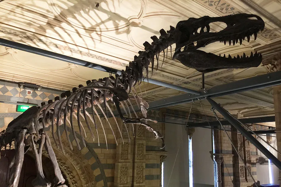 Natural History Museum