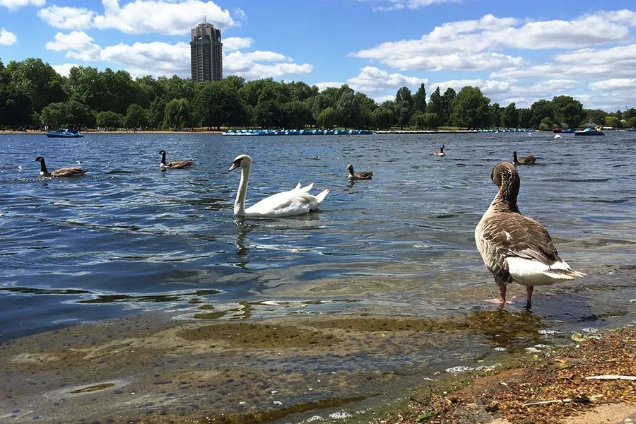 Hyde Park