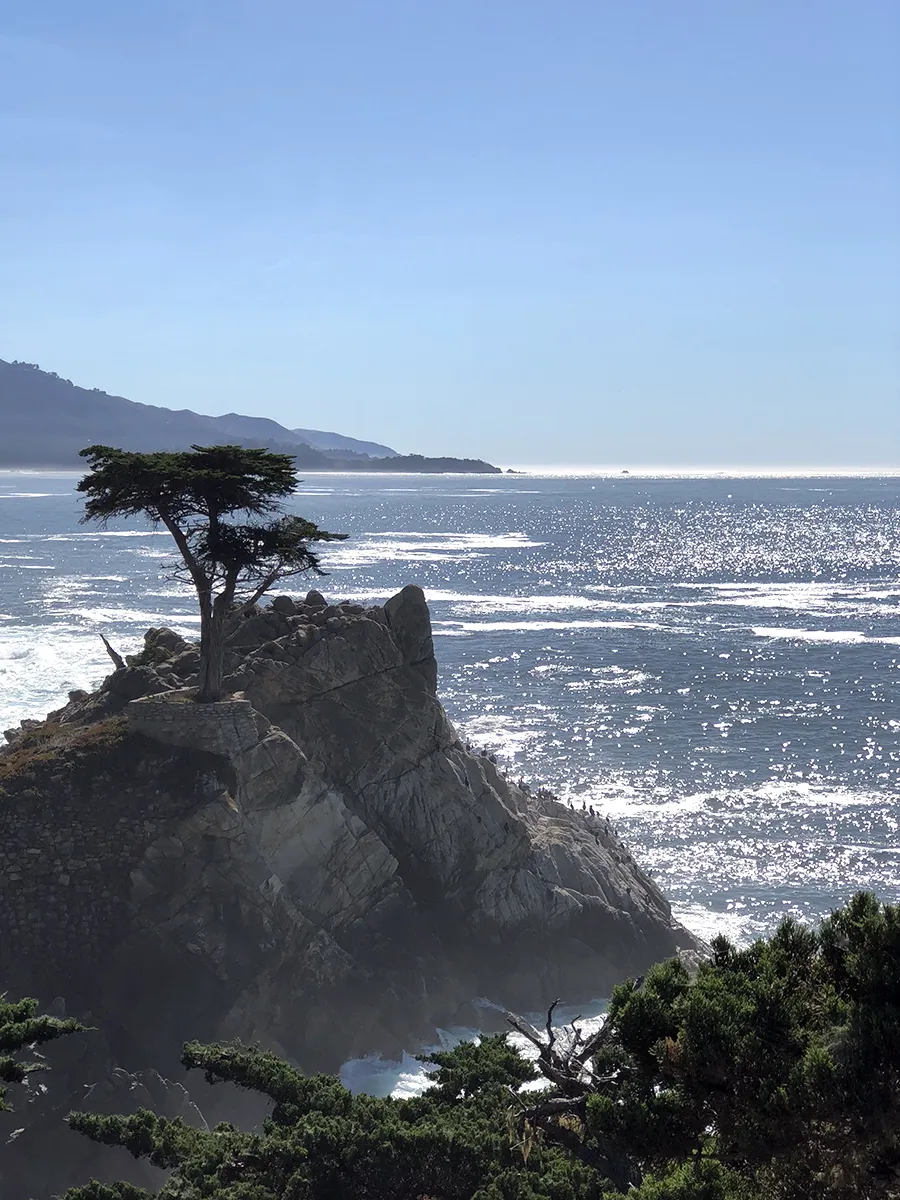 Monterey