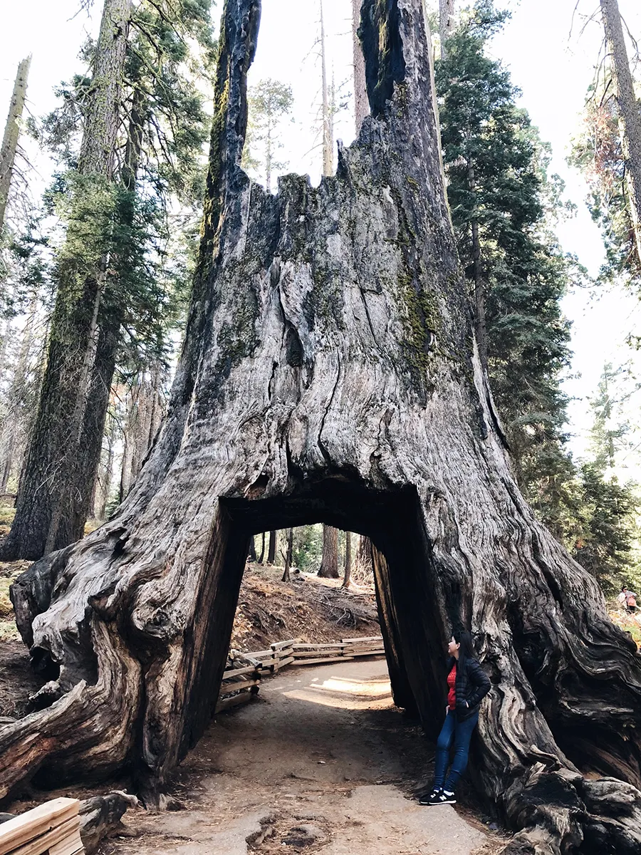 Yosemite
